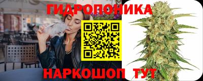 скорость Шелехов