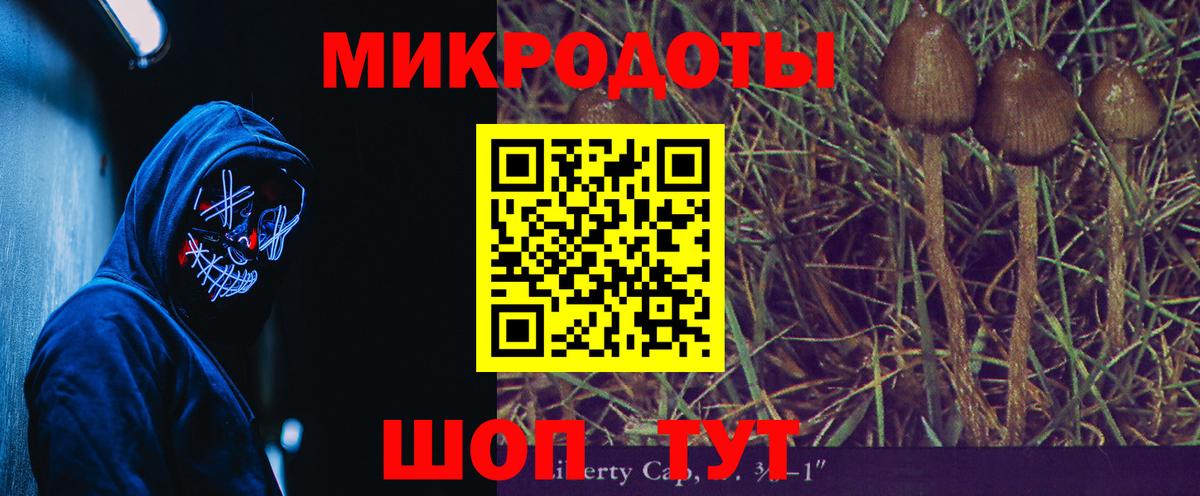 Псилоцибиновые грибы Magic Shrooms Вышний Волочёк
