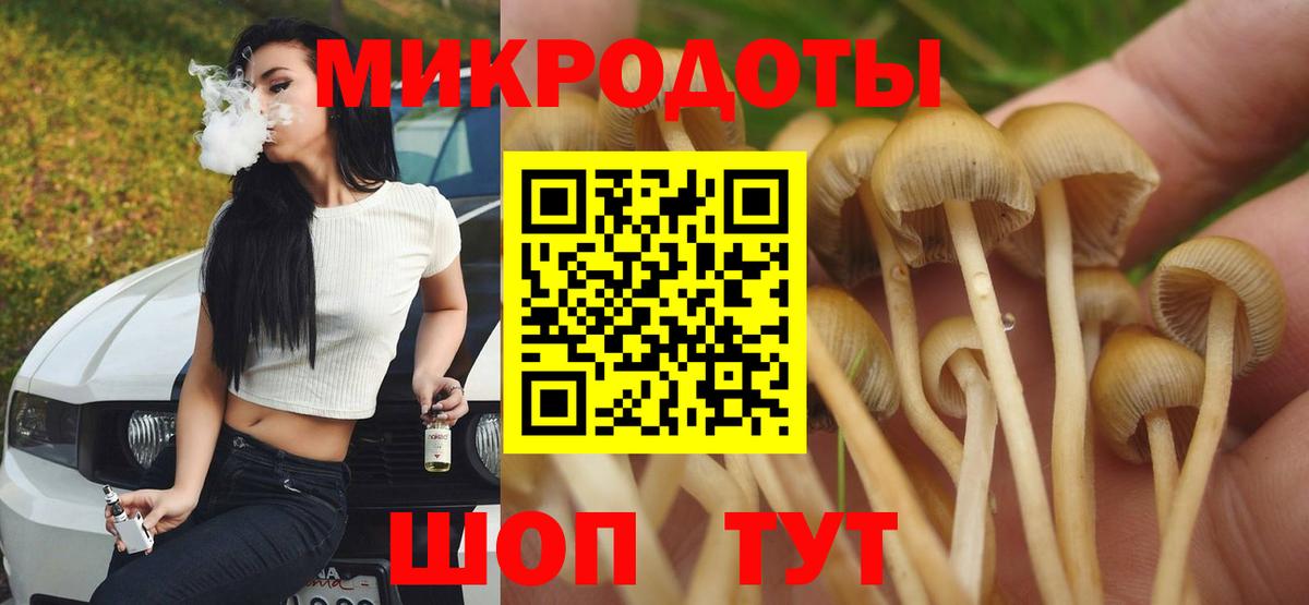 Псилоцибиновые грибы Psilocybine cubensis  что такое   Вышний Волочёк  Вход с VPN  Галлюциногенные грибы мухоморы 